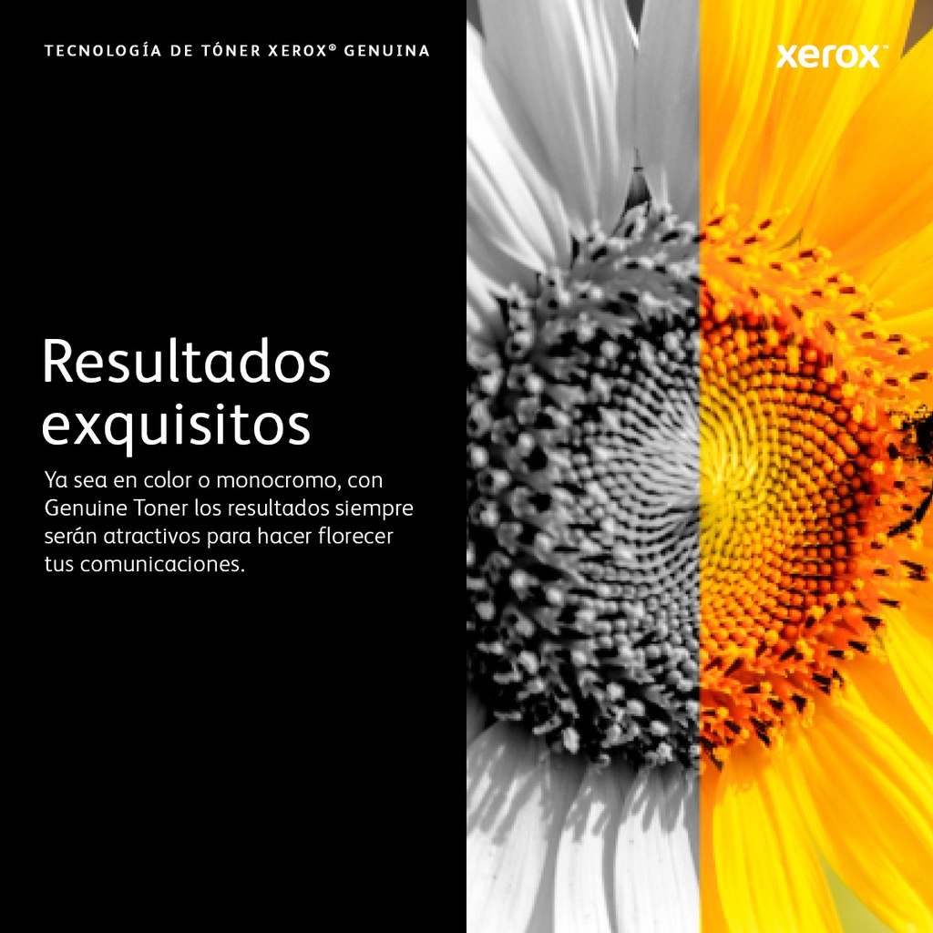Tóner XEROX VersaLink B7025/7030/7035 — 6